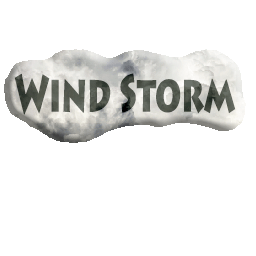 Wind Storm